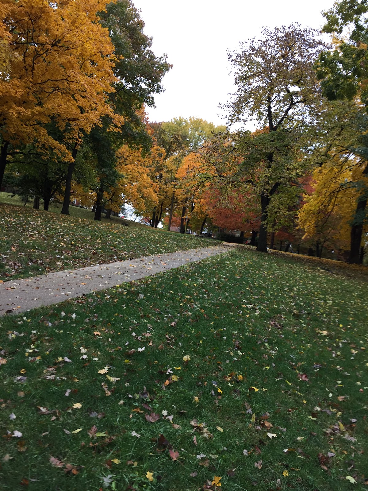 Wittenberg University photo 9