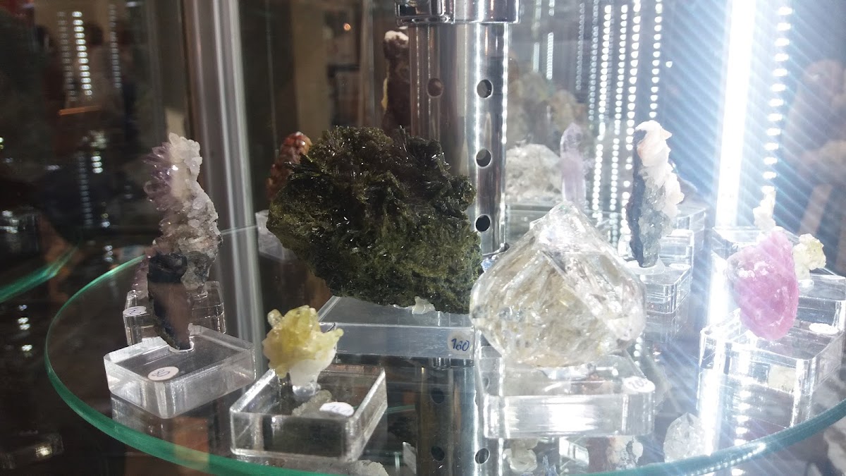 University of Life Sciences in Lublin photo 1