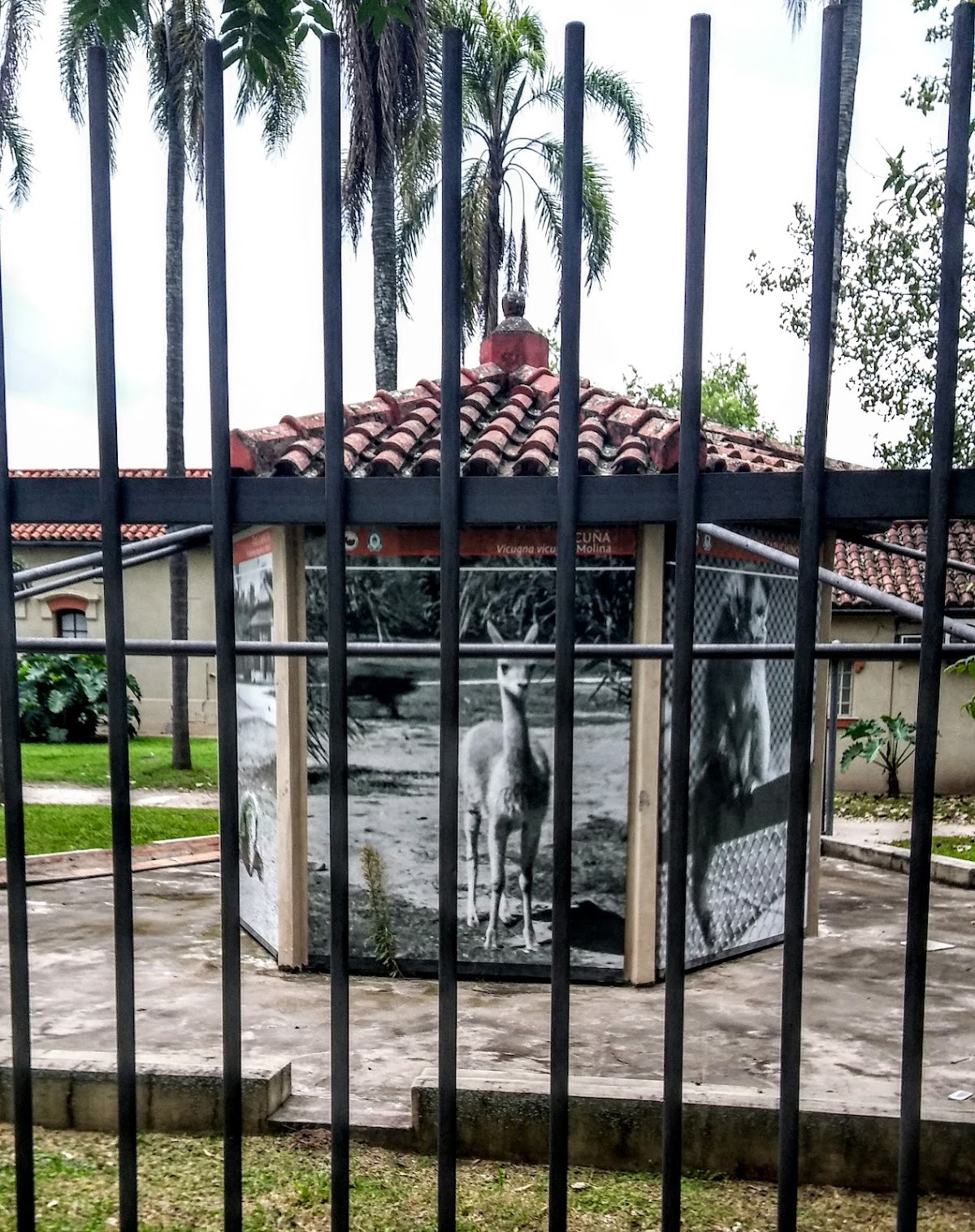 National University of Jujuy photo 9