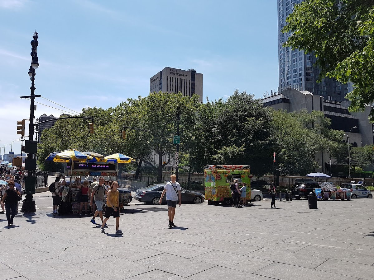 Pace University photo 7
