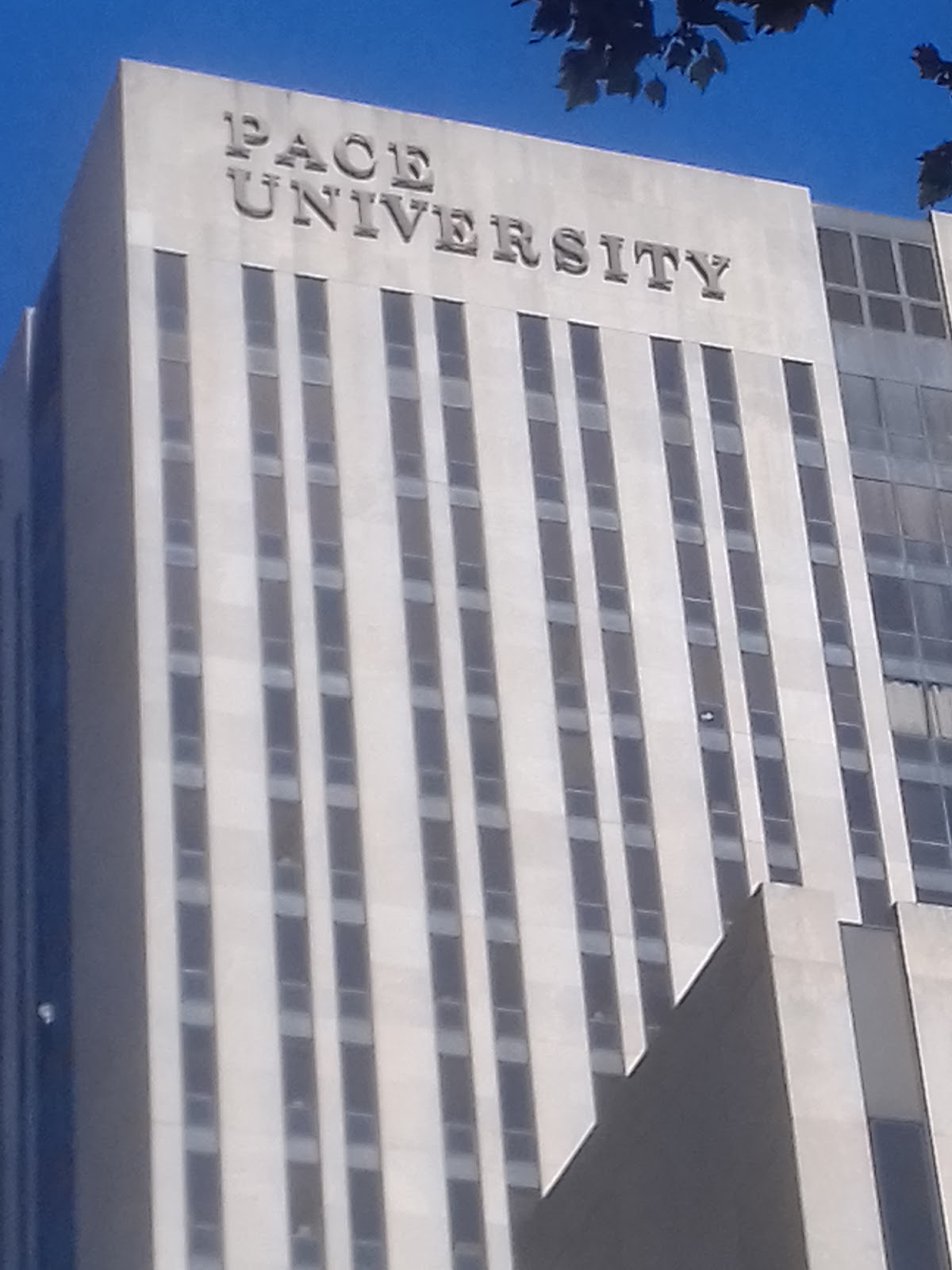 Pace University photo 8