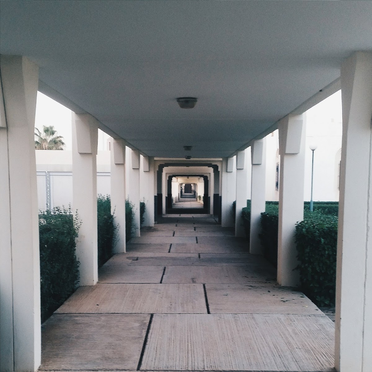 Ecole Nationale Supérieure d'Arts et Métiers de Meknès (ENSAM Meknes) photo 5