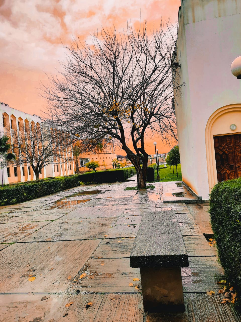 Ecole Nationale Supérieure d'Arts et Métiers de Meknès (ENSAM Meknes) photo 9