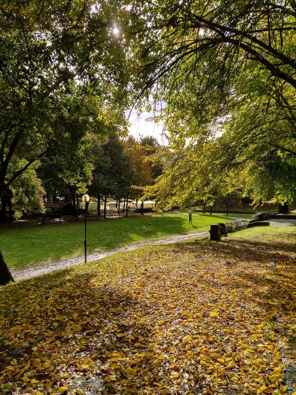 University of Minho - School of Engineering photo 8