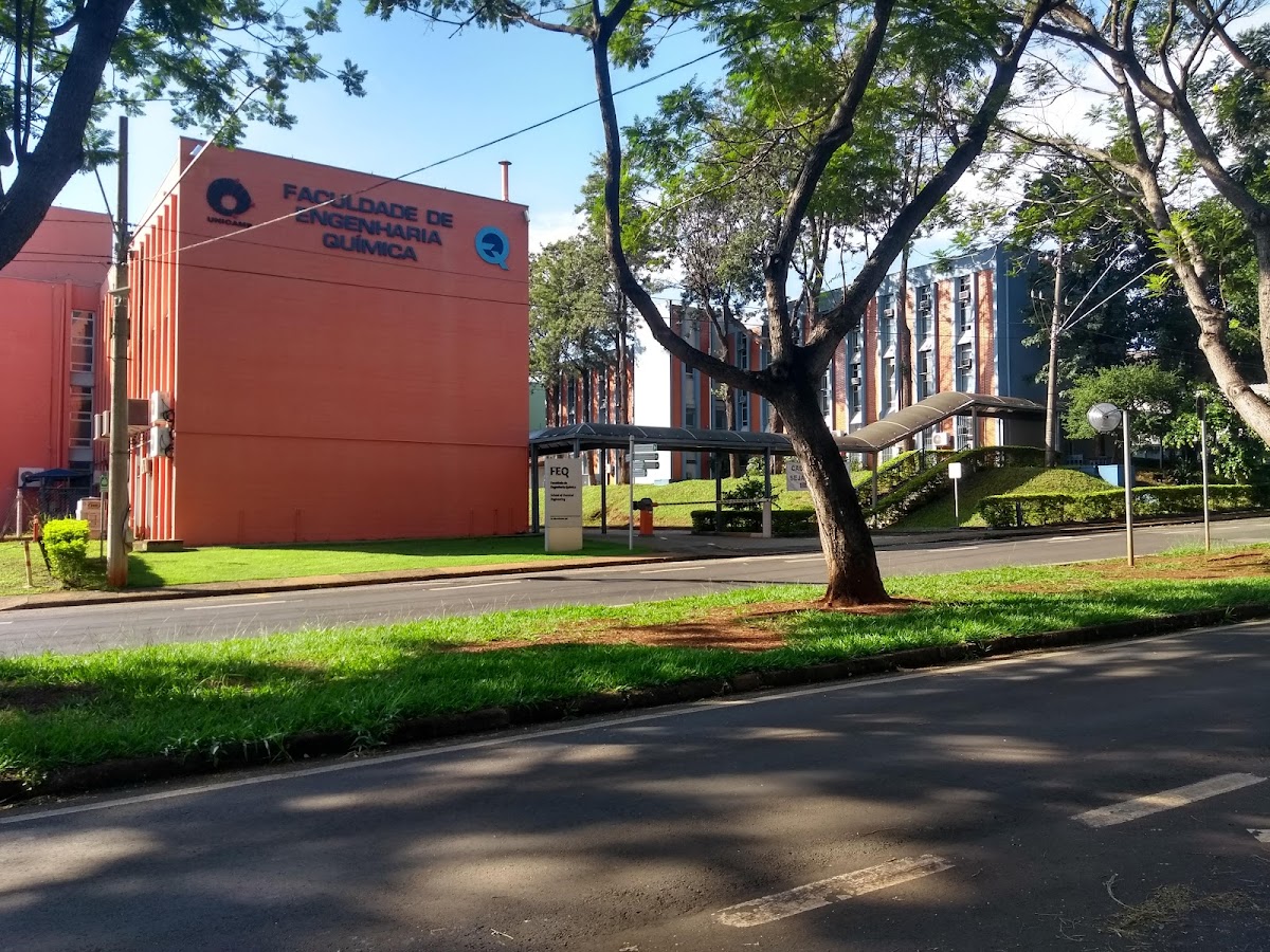 State University of Campinas photo 2