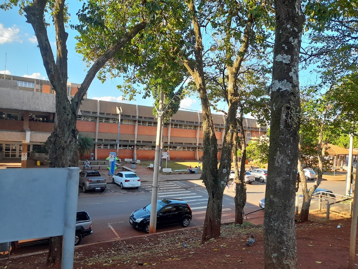 State University of Campinas photo 4