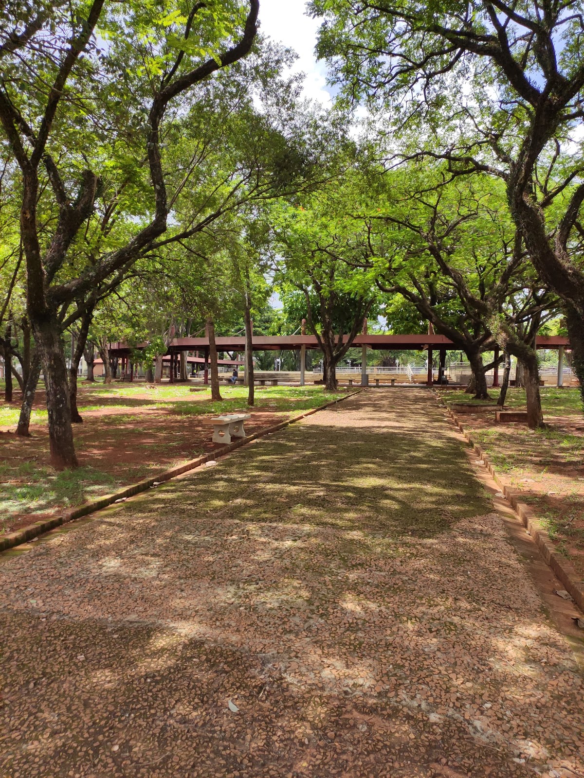 State University of Campinas photo 5