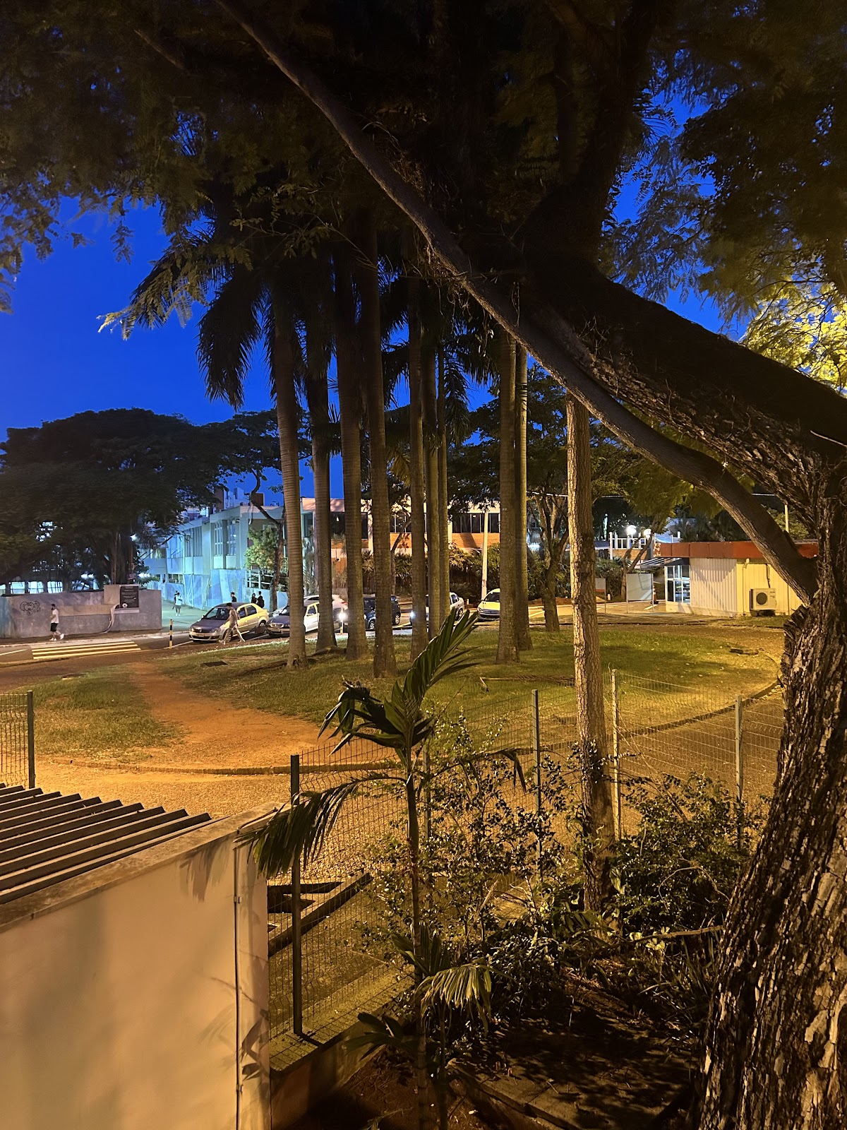 State University of Campinas photo 6