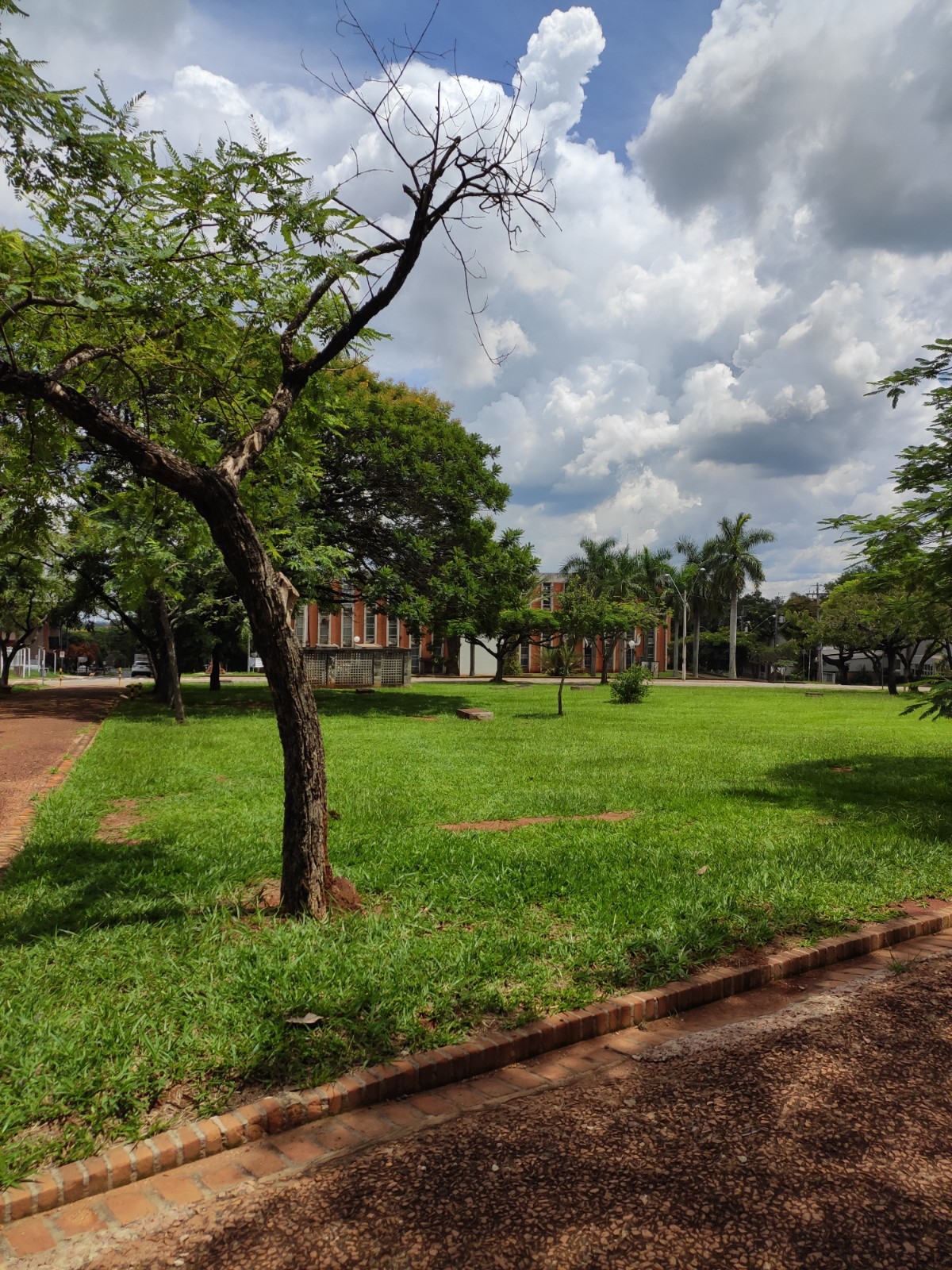 State University of Campinas photo 7