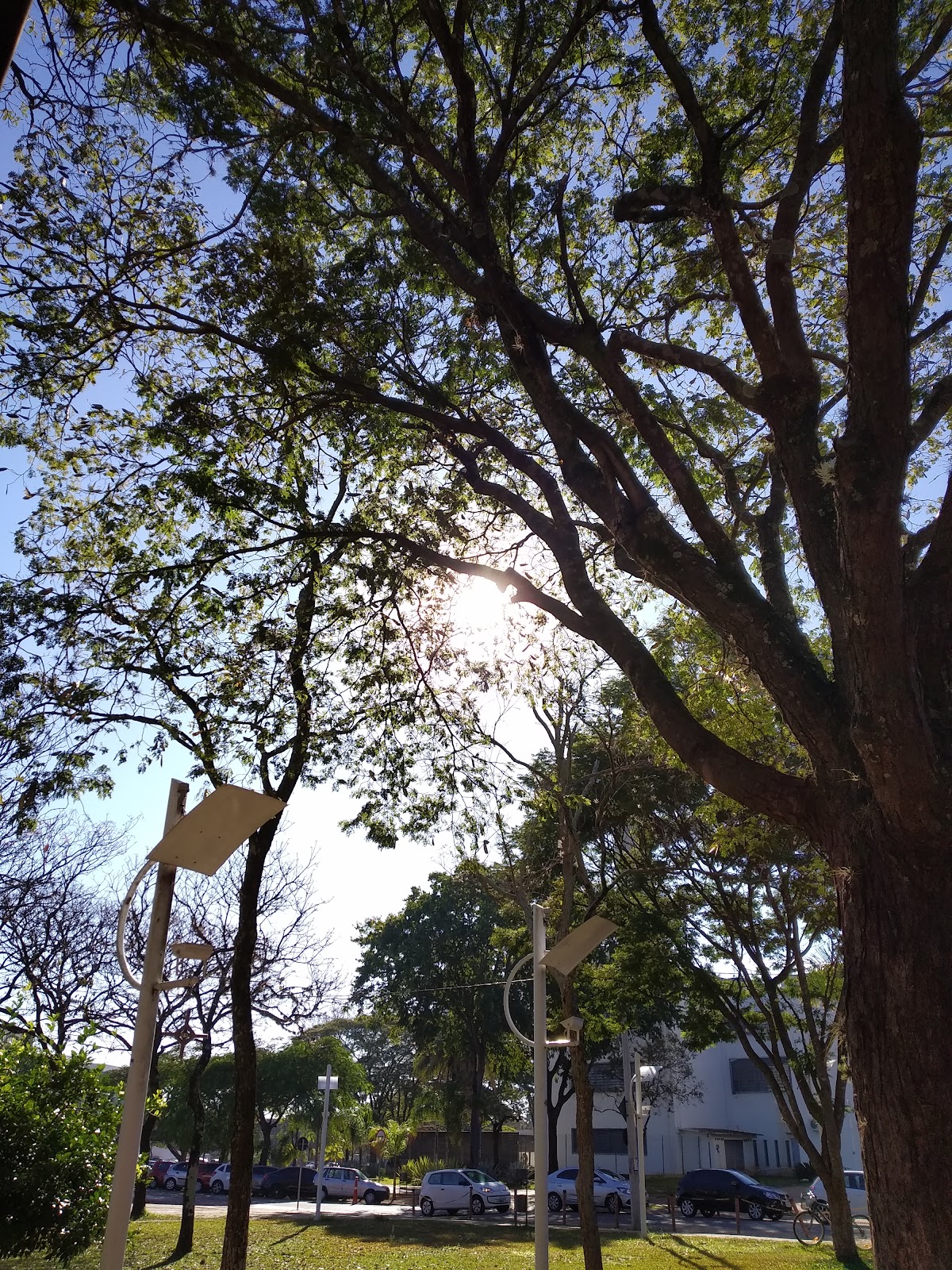 State University of Campinas photo 8