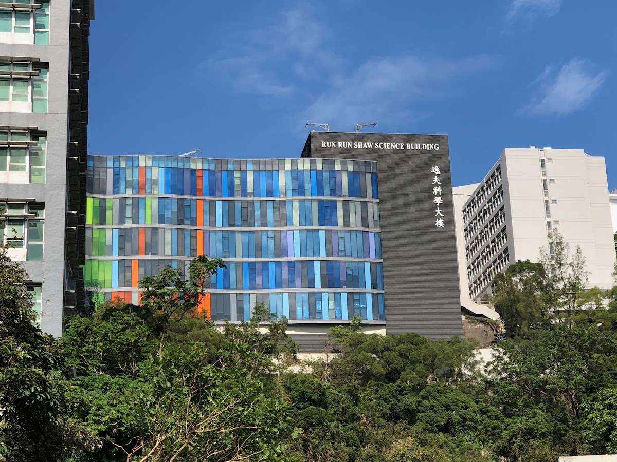 The University of Hong Kong photo 7