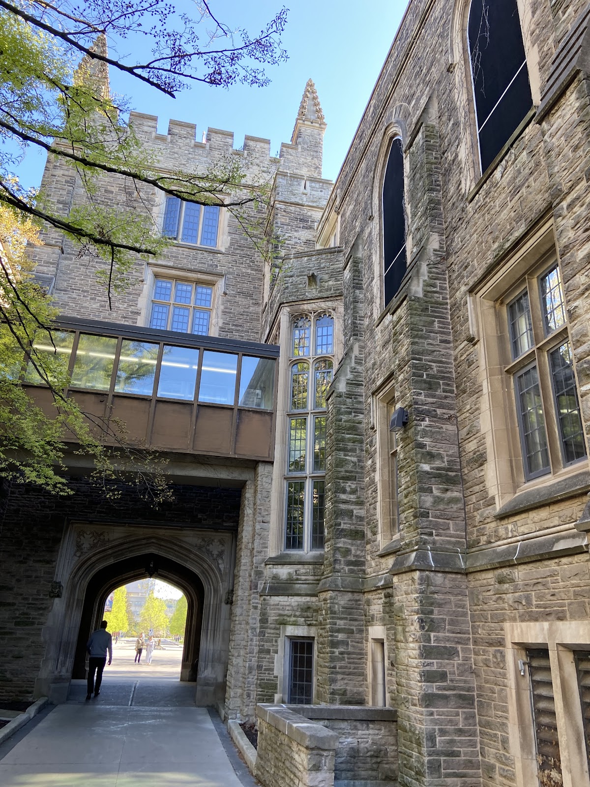 McMaster University photo 8