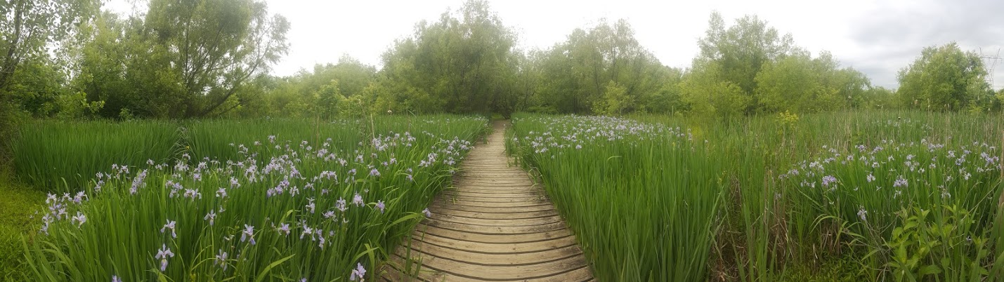 Regional University 2169