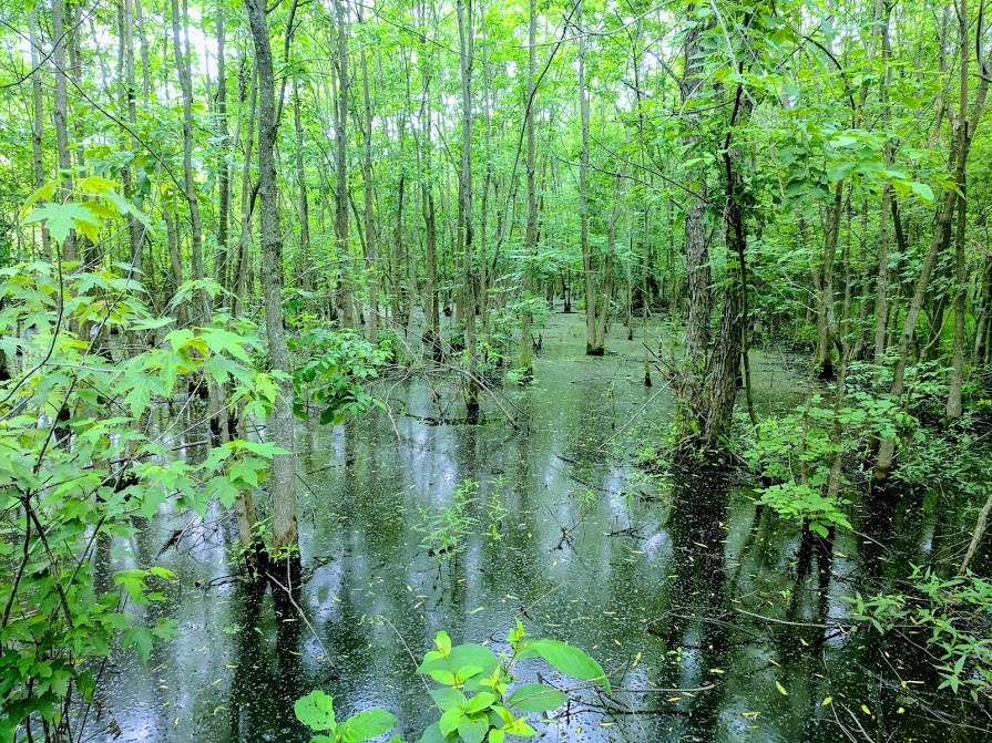 Regional University 2169 photo 2