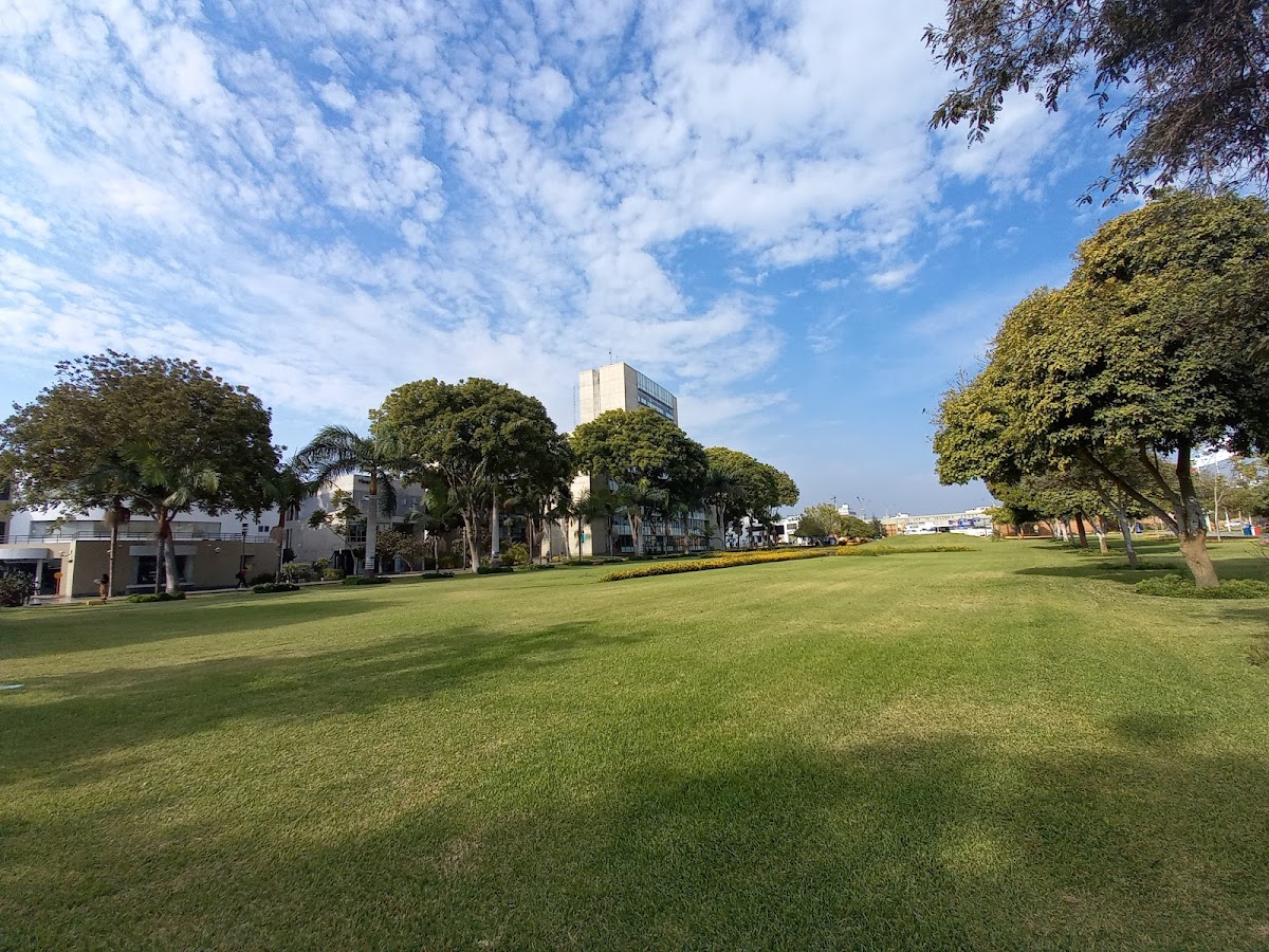 Pontifical Catholic University of Peru photo 4