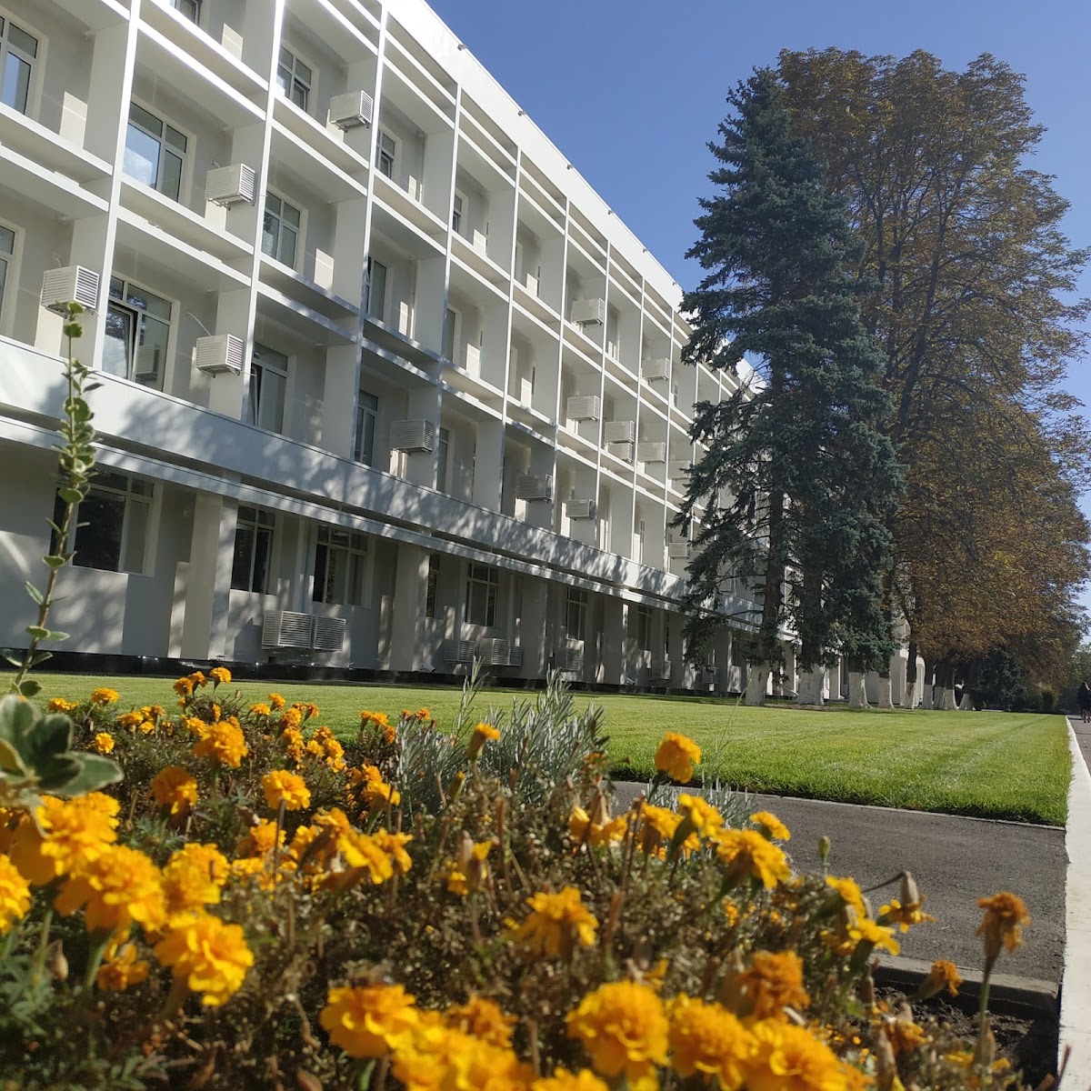 Kuban State University photo 6