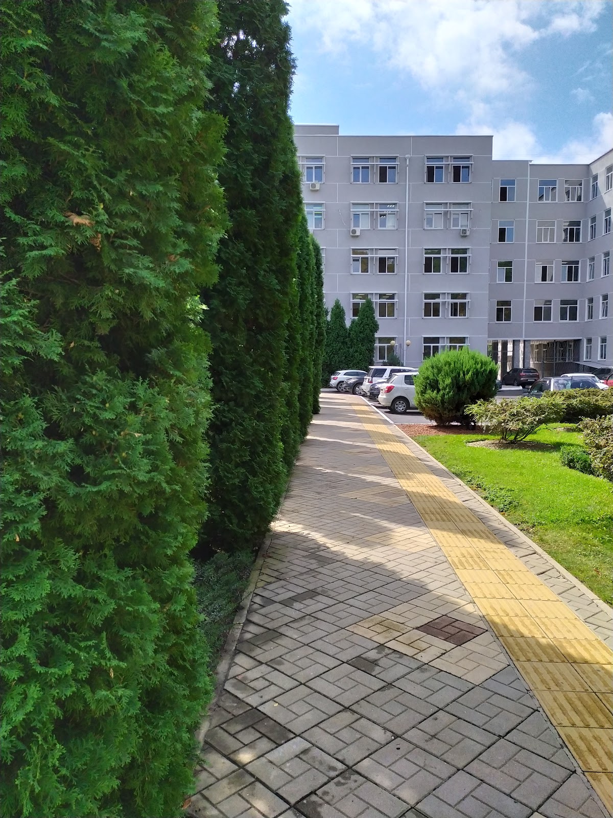 Kuban State University photo 8