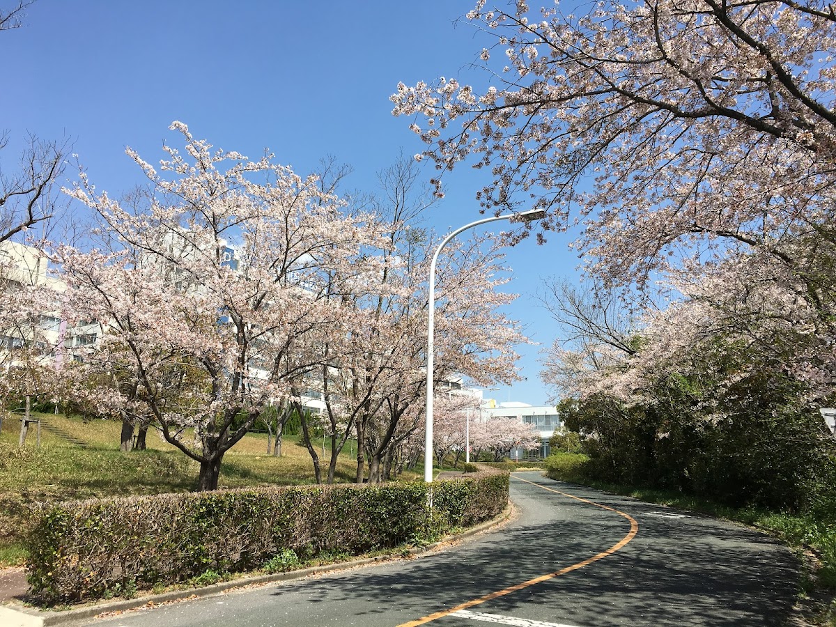 Toyohashi University of Technology photo 7