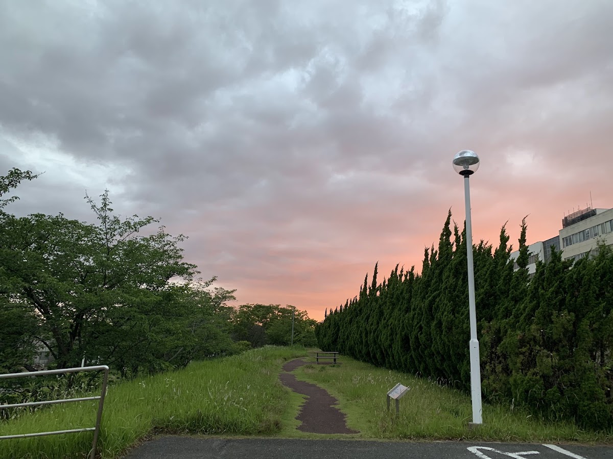Toyohashi University of Technology photo 8
