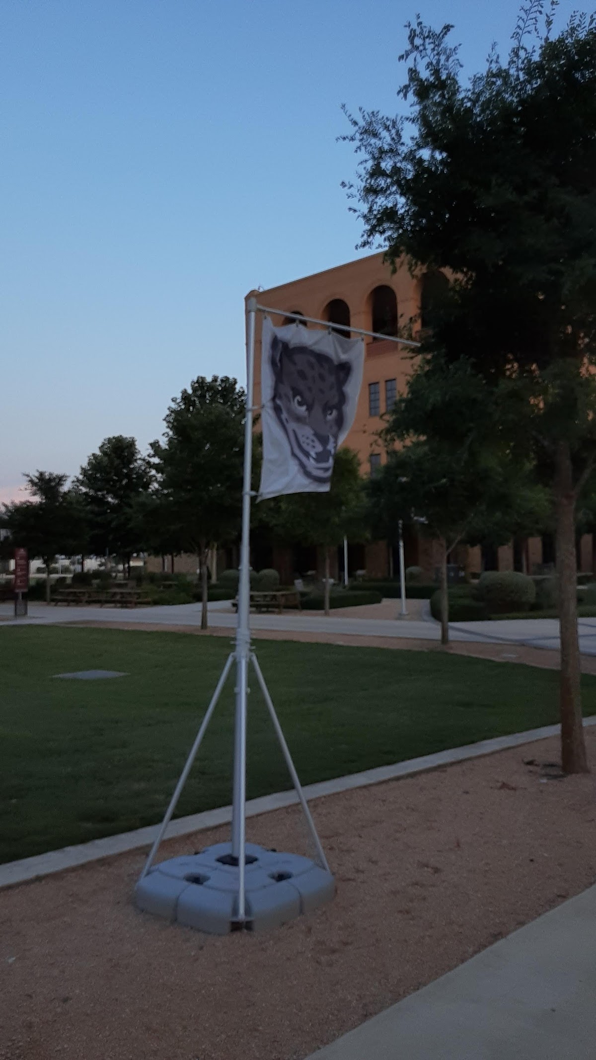 Texas A&M University-San Antonio photo 8