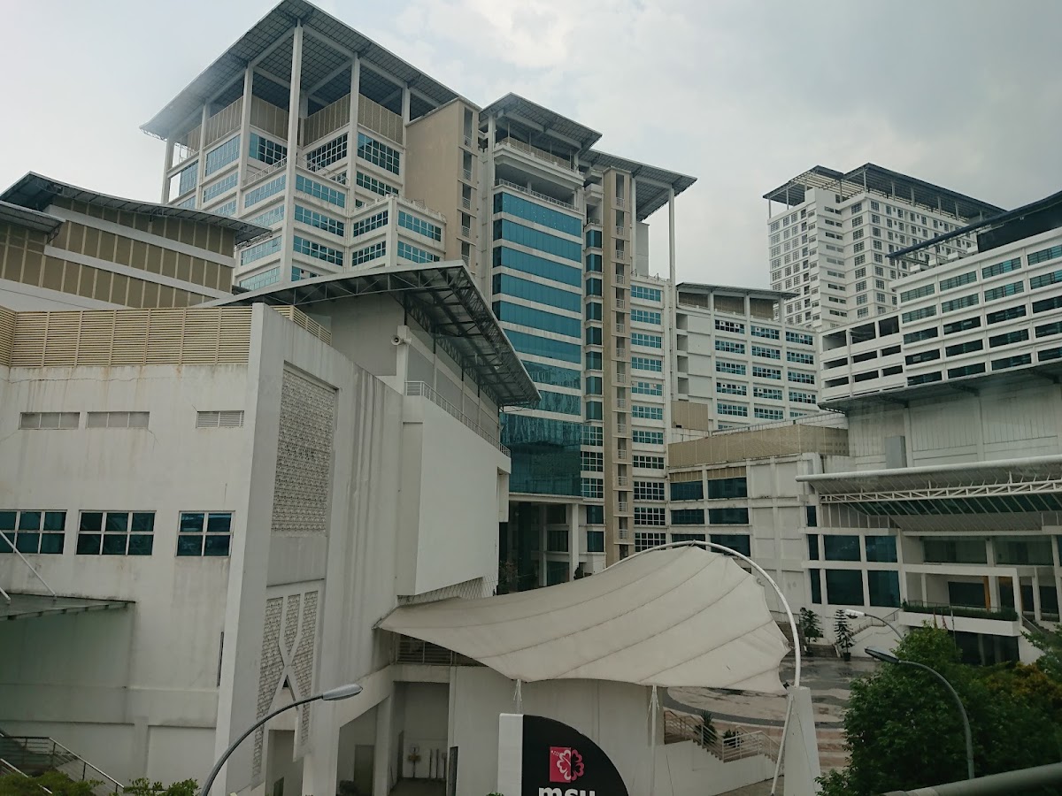 Management and Science University photo 9