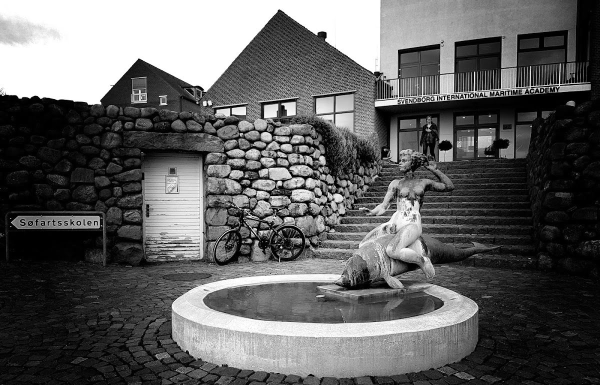 Svendborg International Maritime Academy photo 2