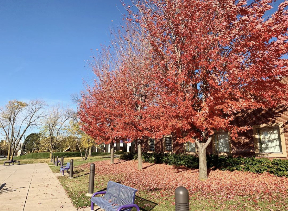 Minnesota State University Mankato photo 4