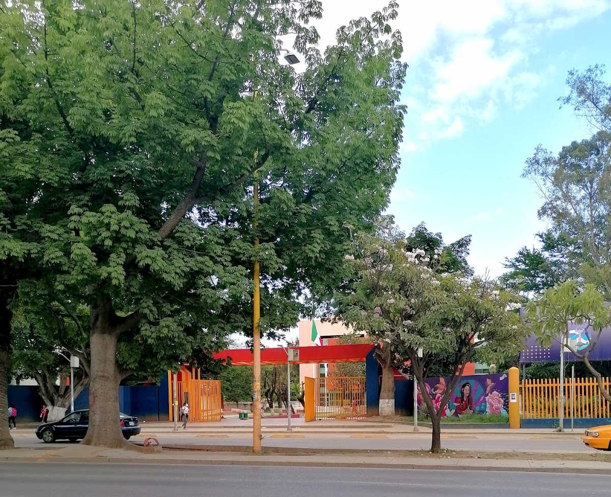 Autonomous University of Oaxaca photo 5