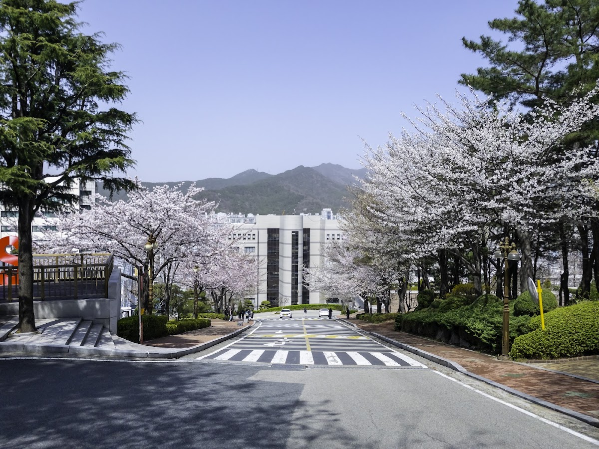 Dongseo University photo 5