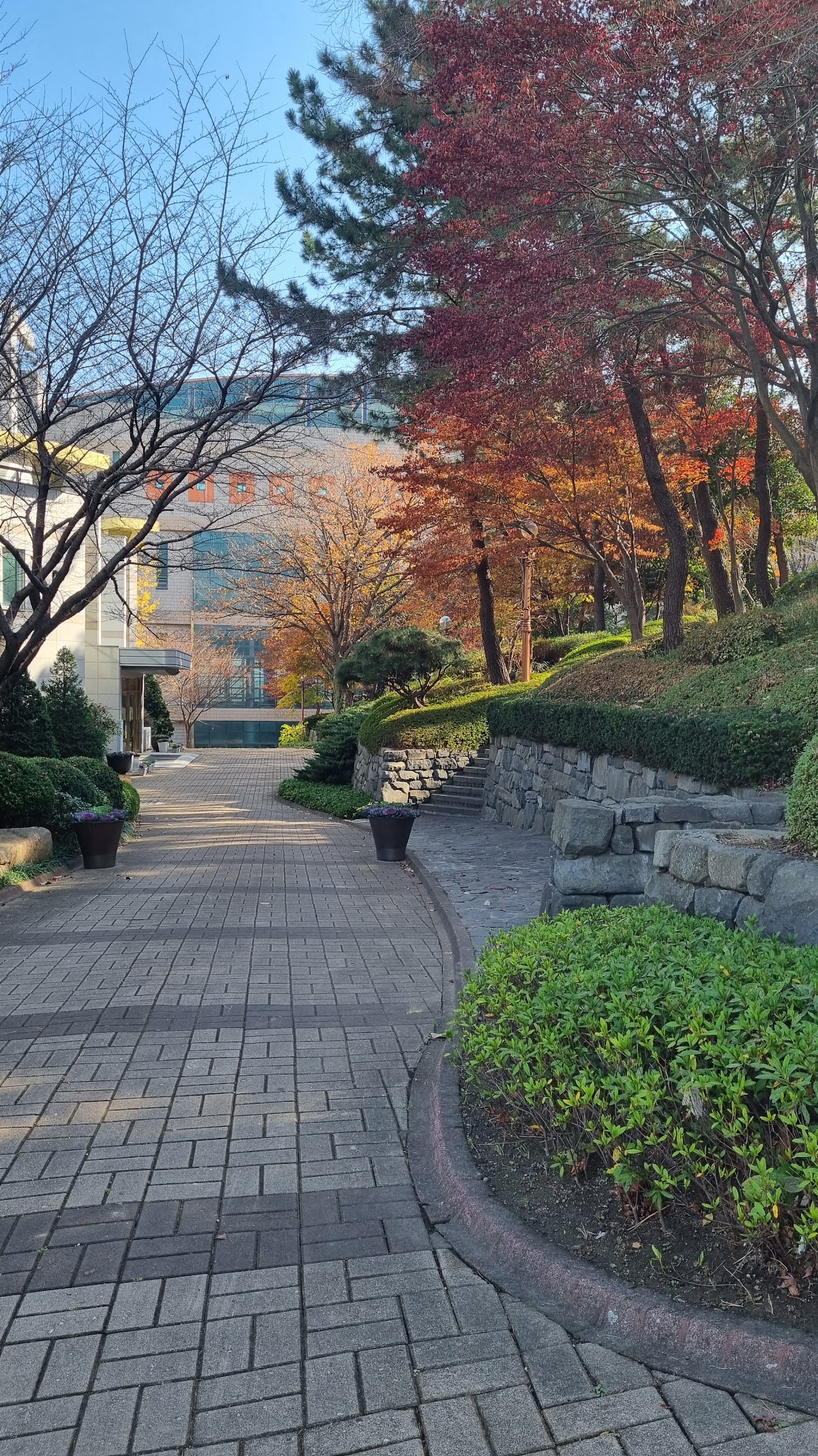 Dongseo University photo 9