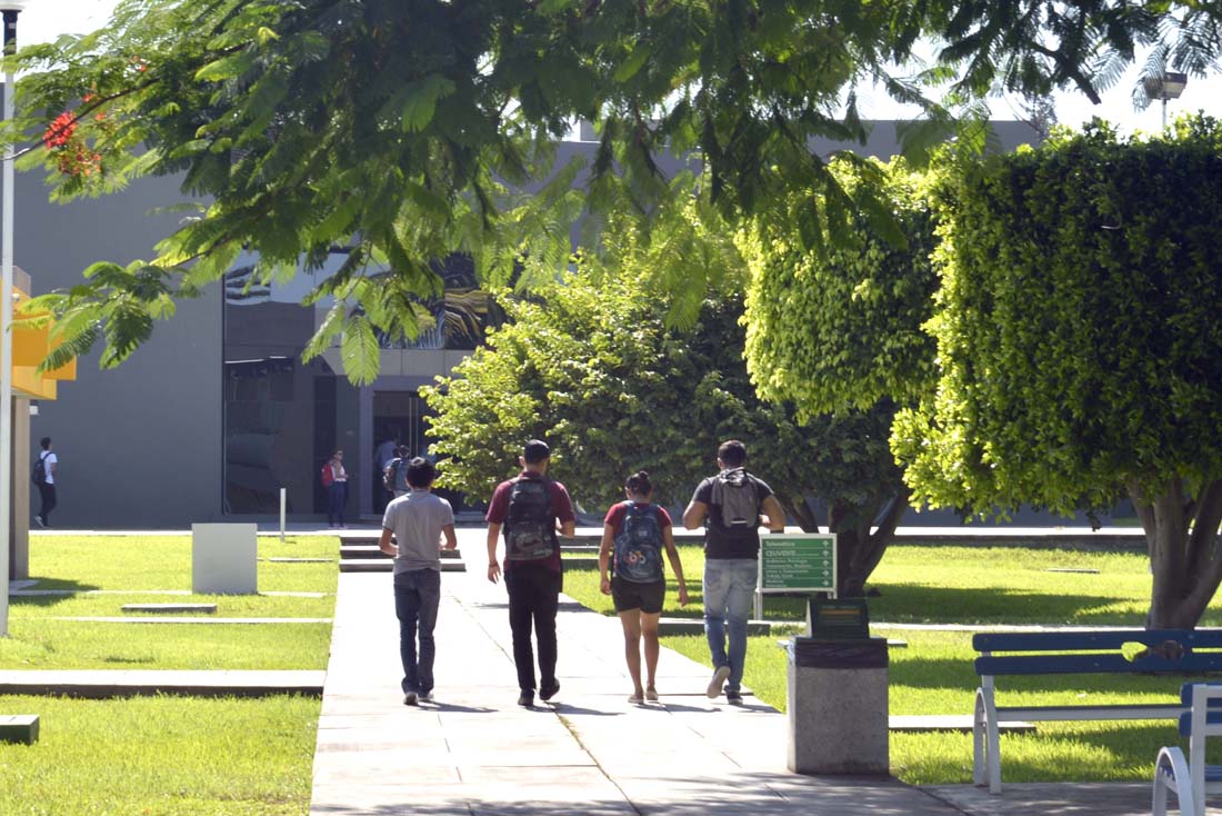 University of Colima photo 7