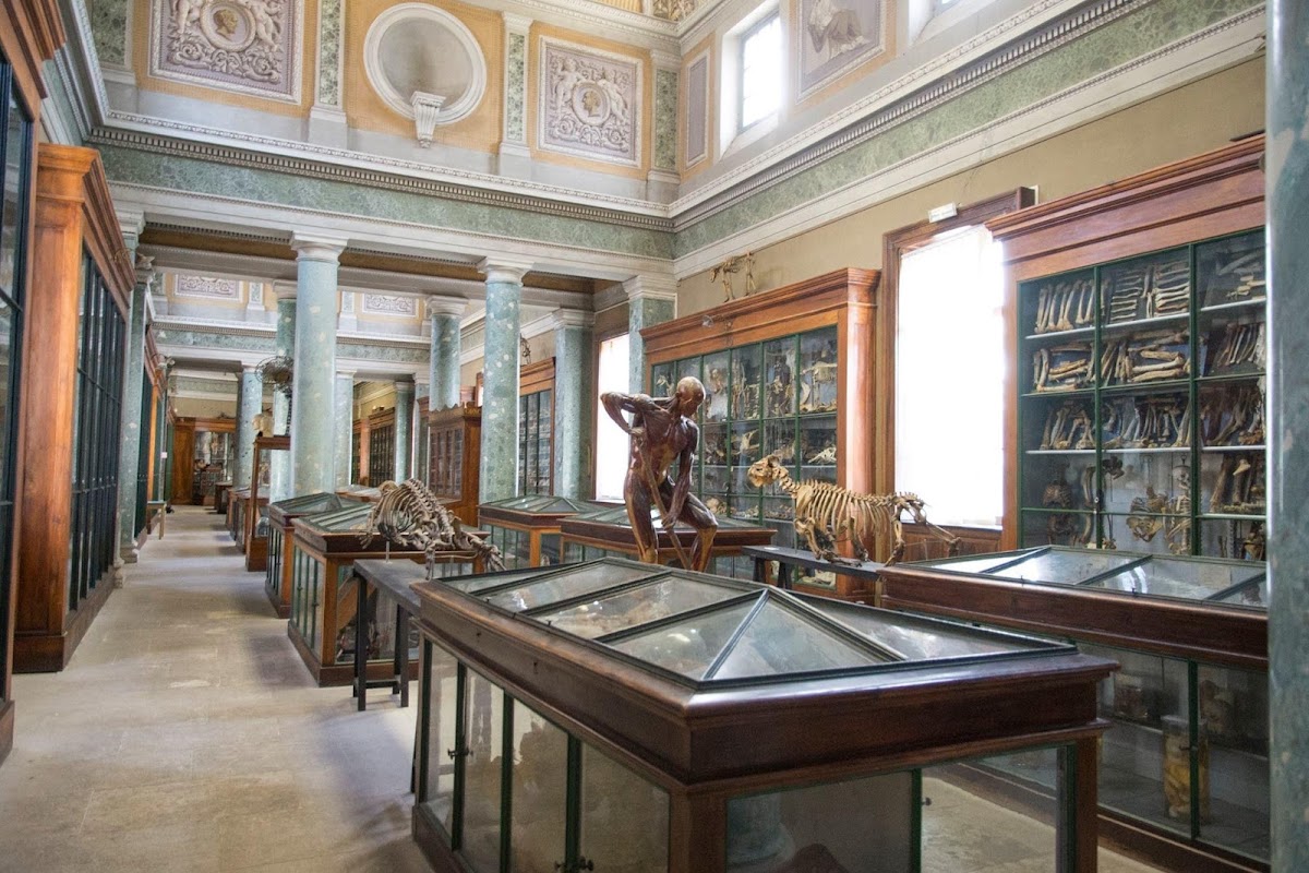 University of Montpellier photo 3