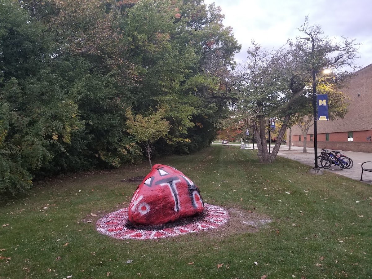 UM Dearborn photo 4