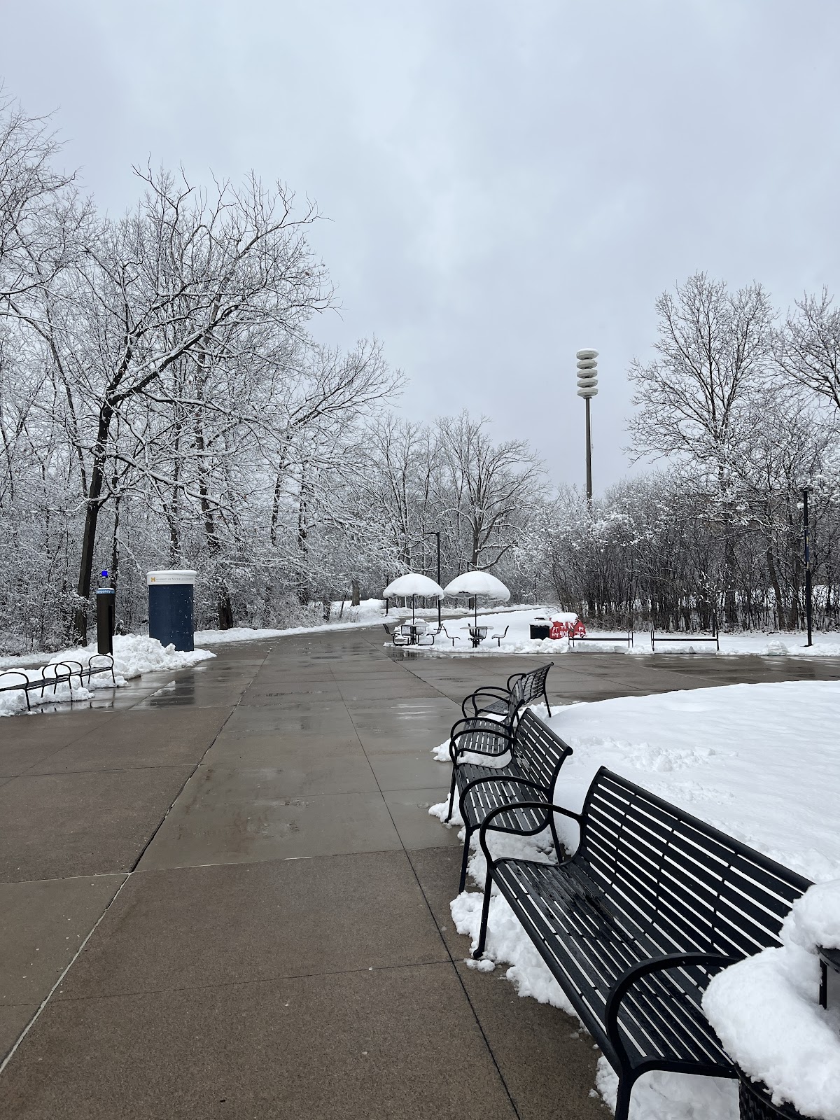UM Dearborn photo 8