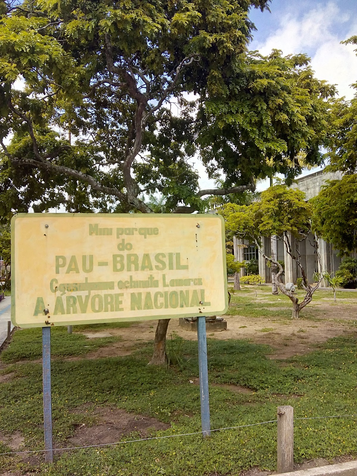 University Center of João Pessoa photo 6