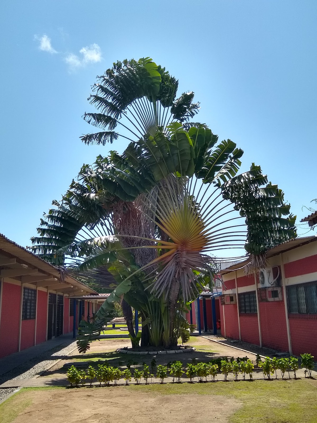 University Center of João Pessoa photo 7