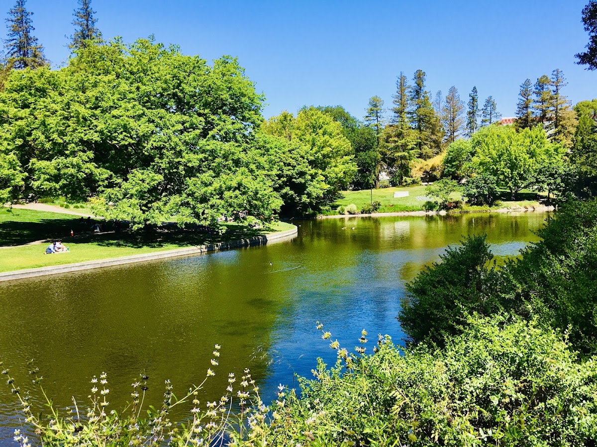 UC Davis photo 2