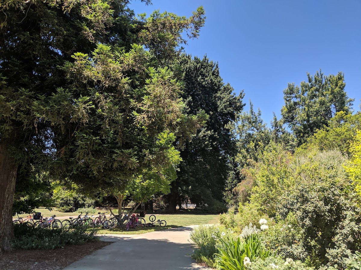 UC Davis photo 4
