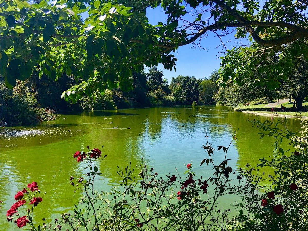 UC Davis photo 5