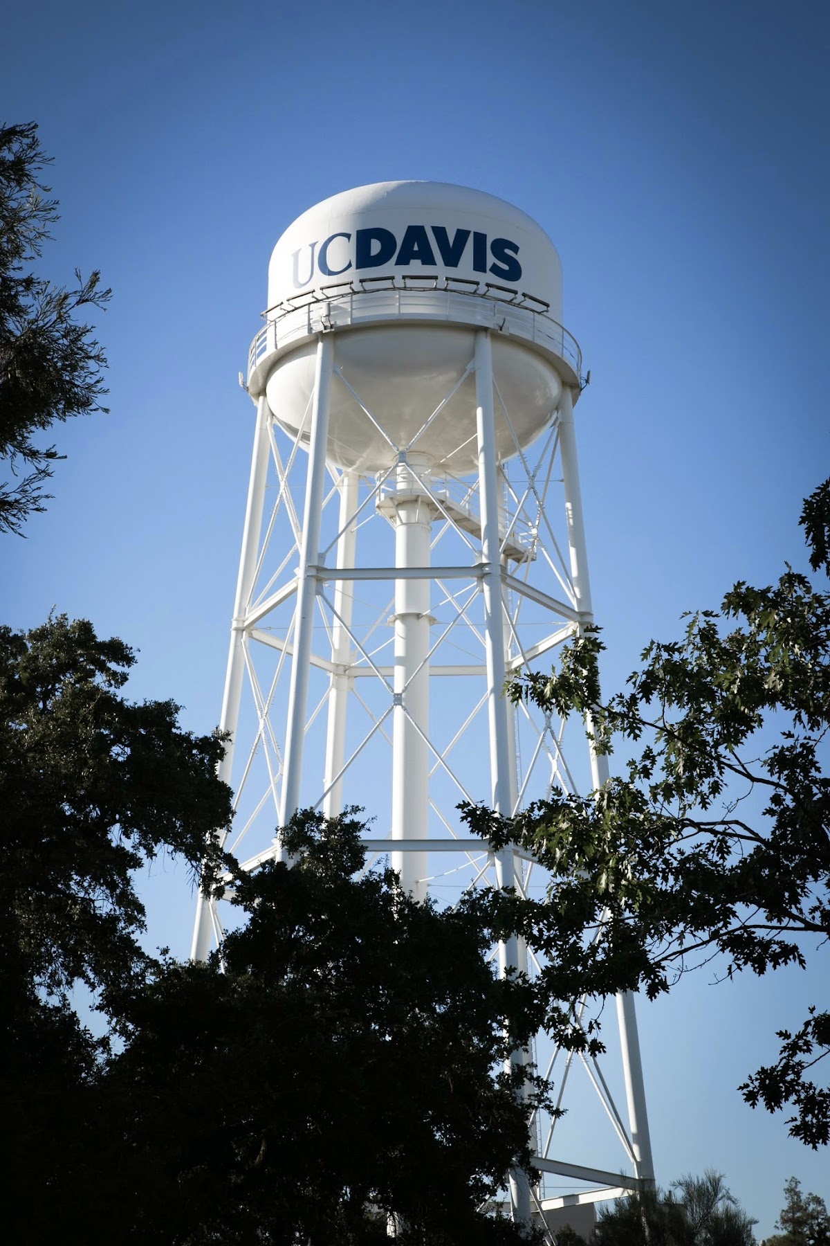 UC Davis photo 9
