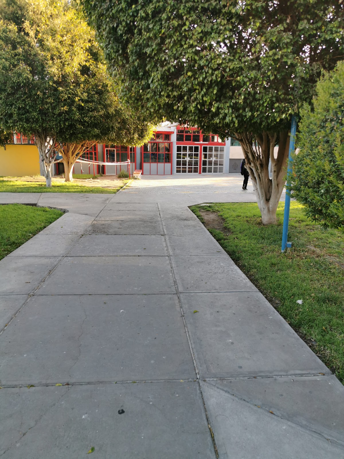 University of Tarapacá photo 8