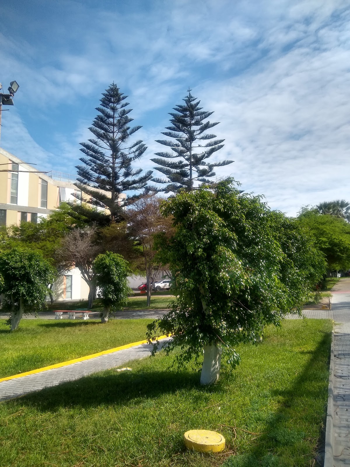 University of Tarapacá photo 9