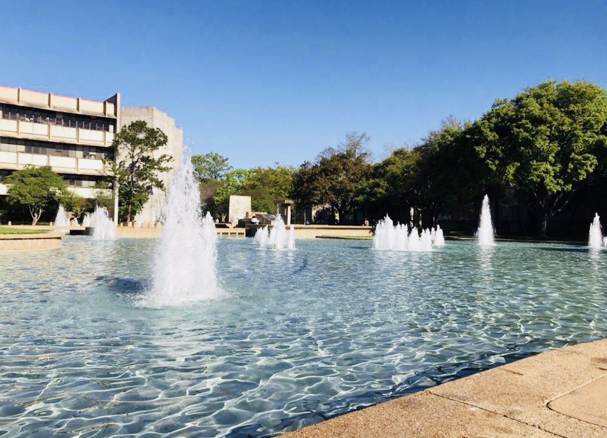 College of 2983 photo 5