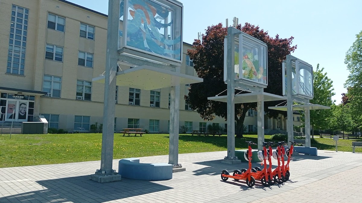 Université St-Paul photo 1