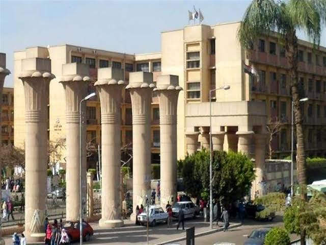 Ain Shams University photo 5