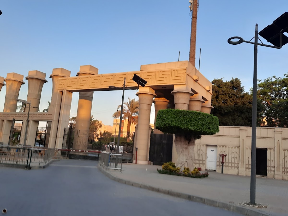 Ain Shams University photo 6
