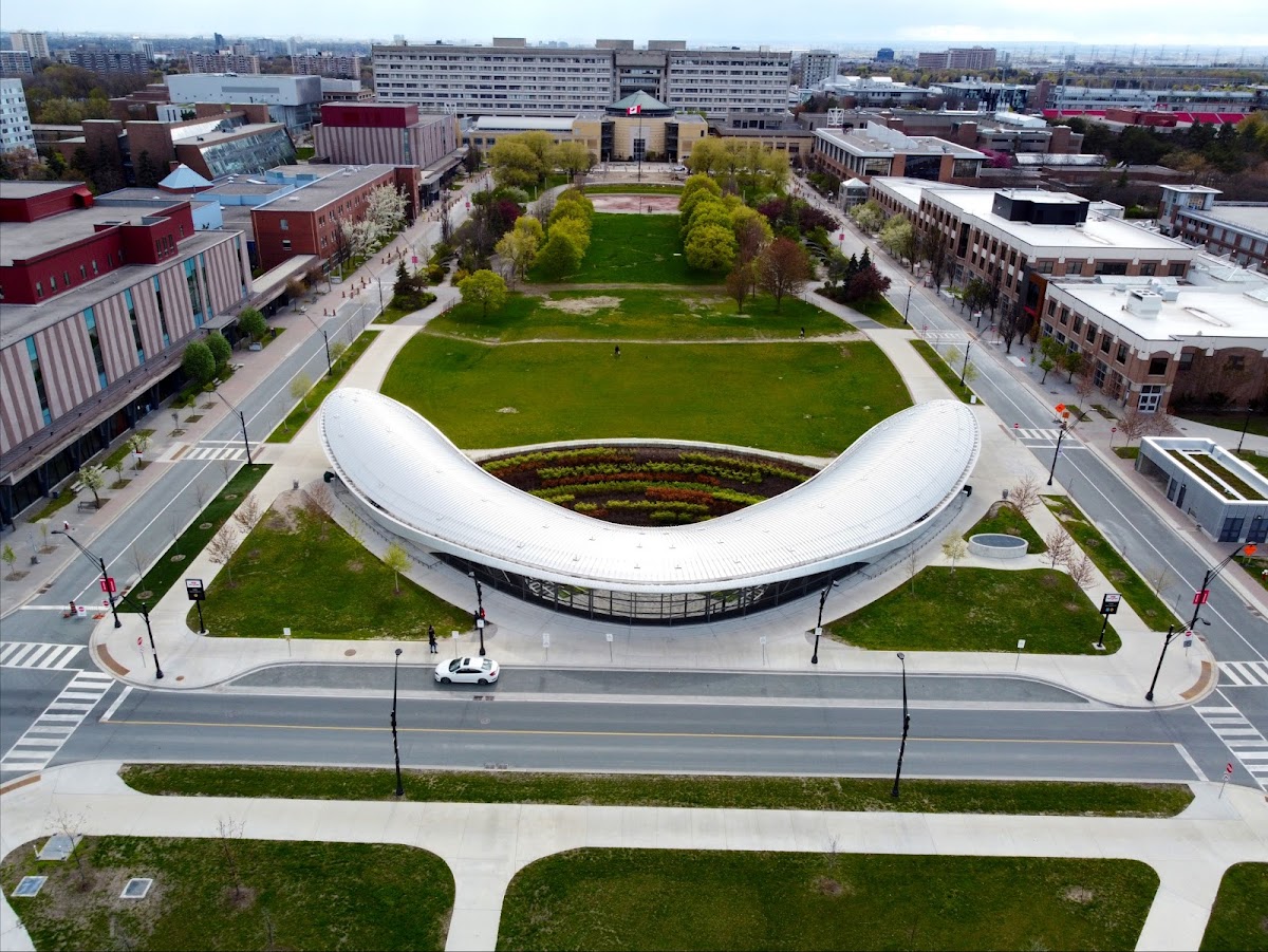 York University photo 3