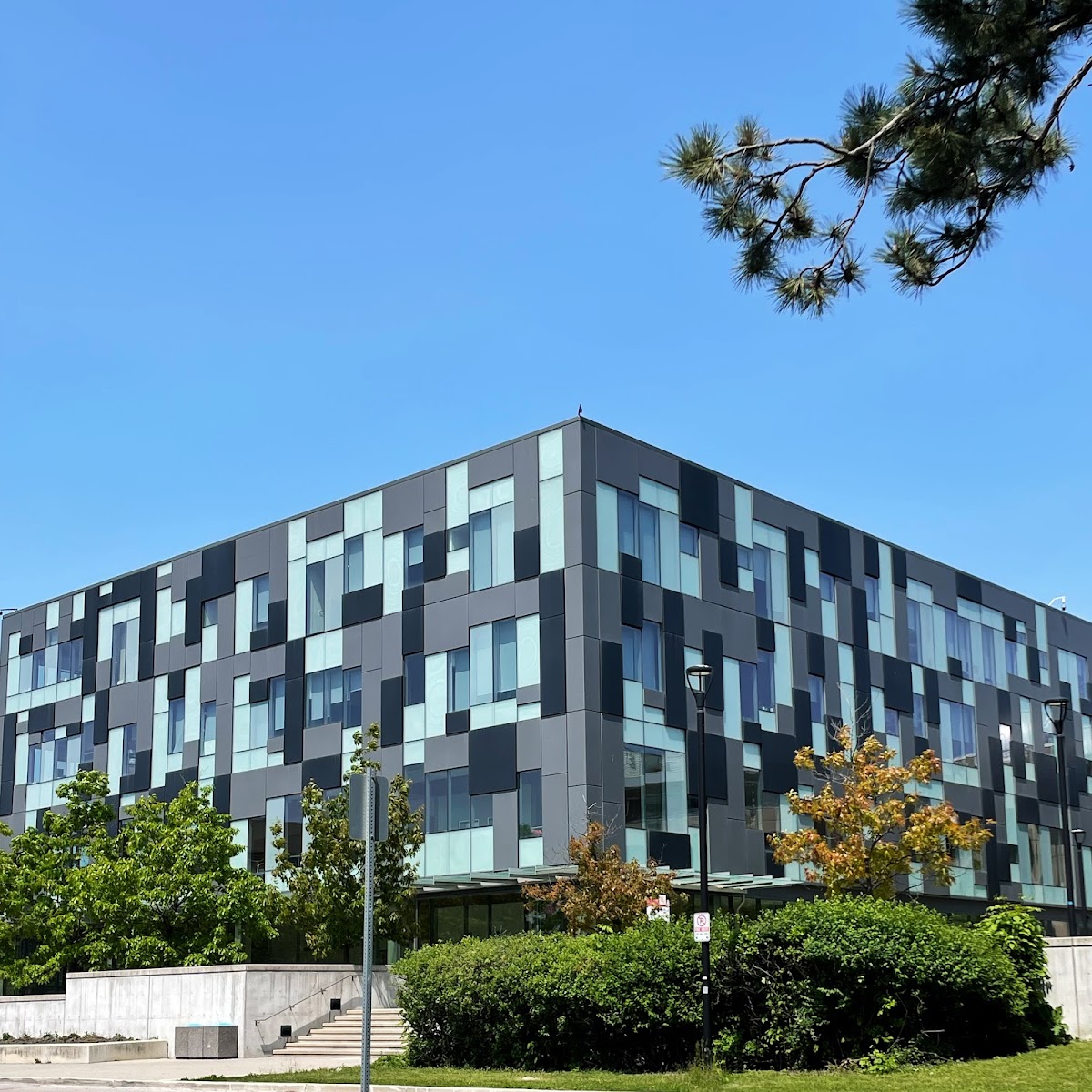 York University photo 4