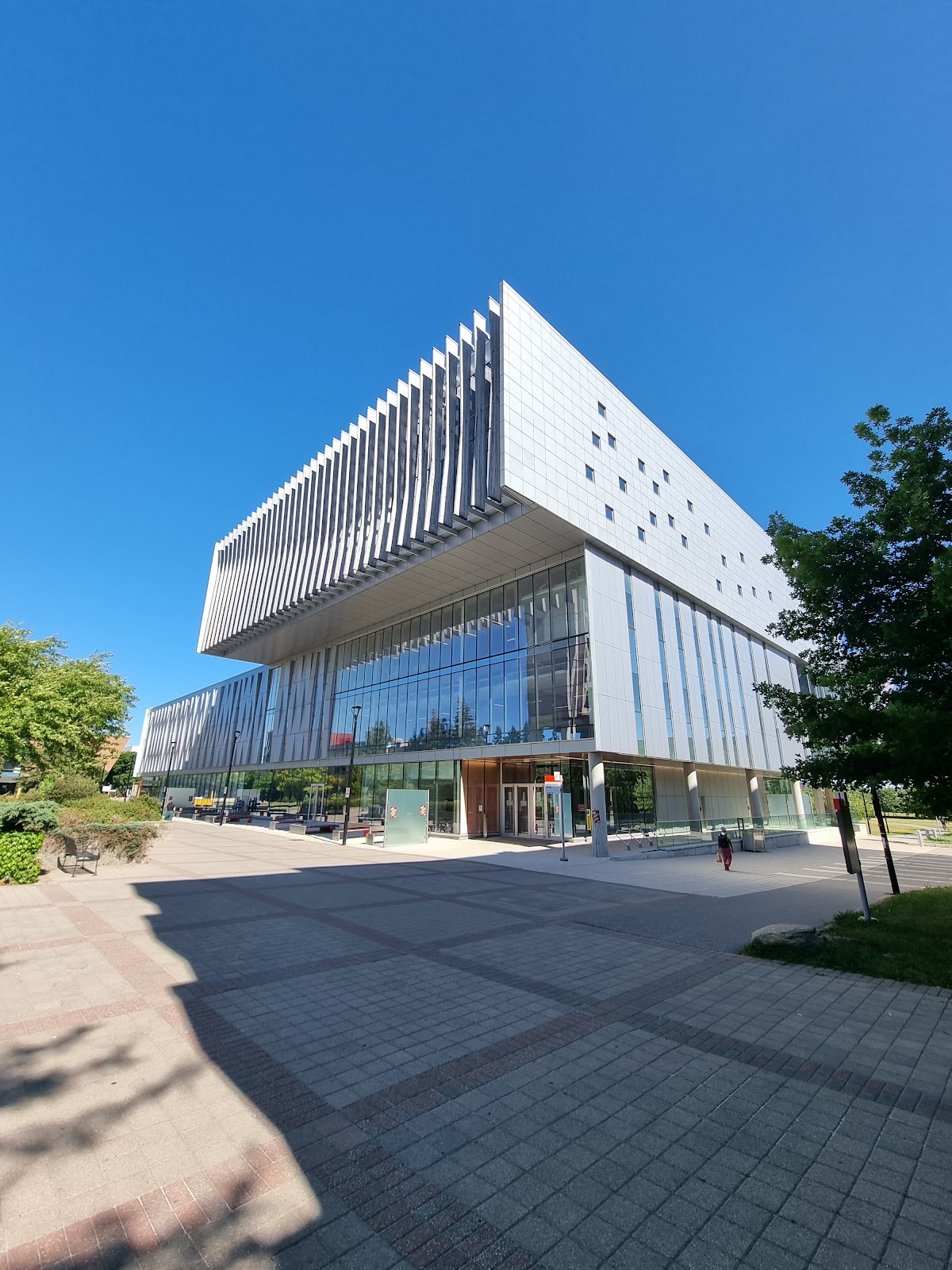 York University photo 6