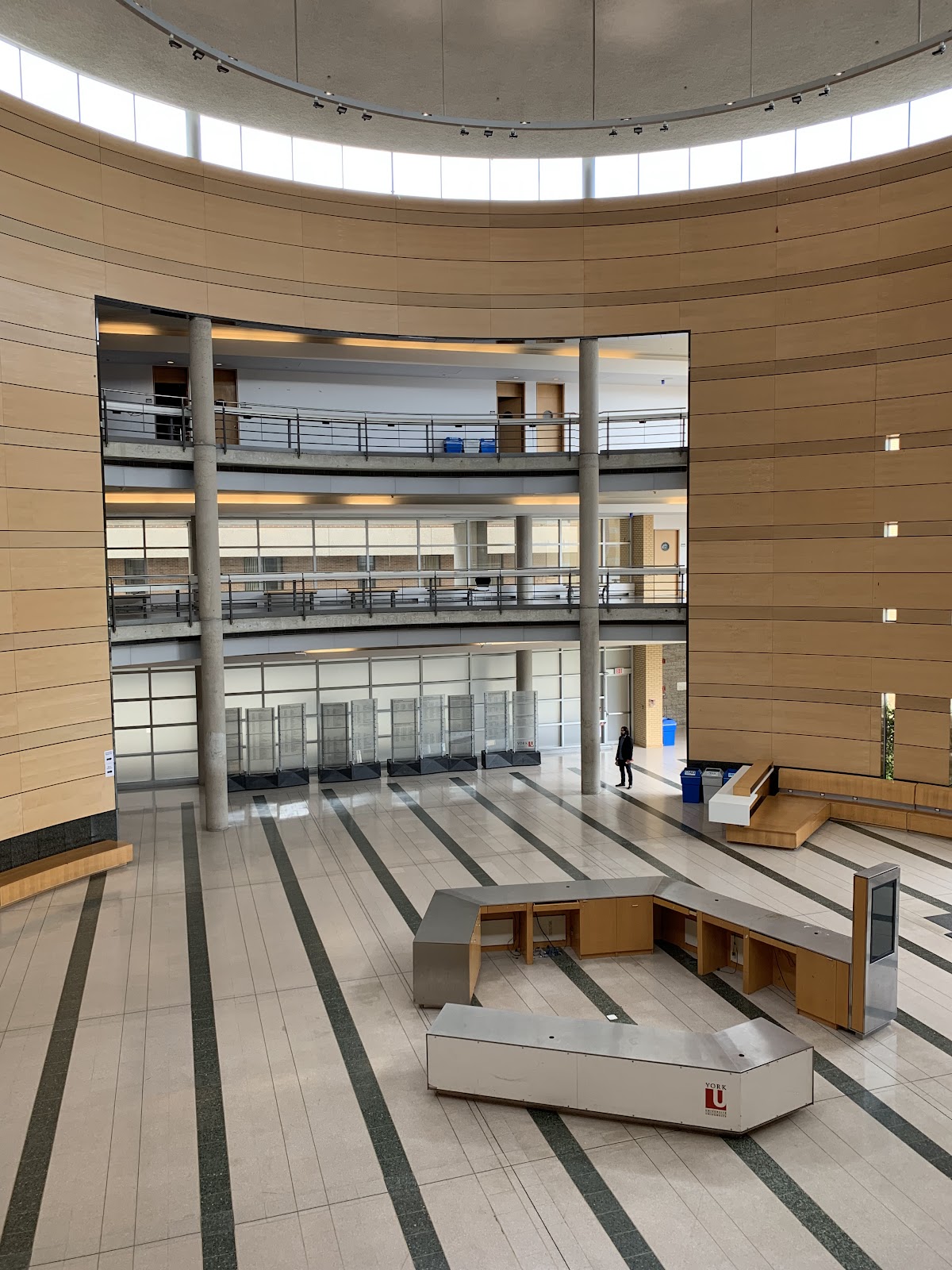 York University photo 7